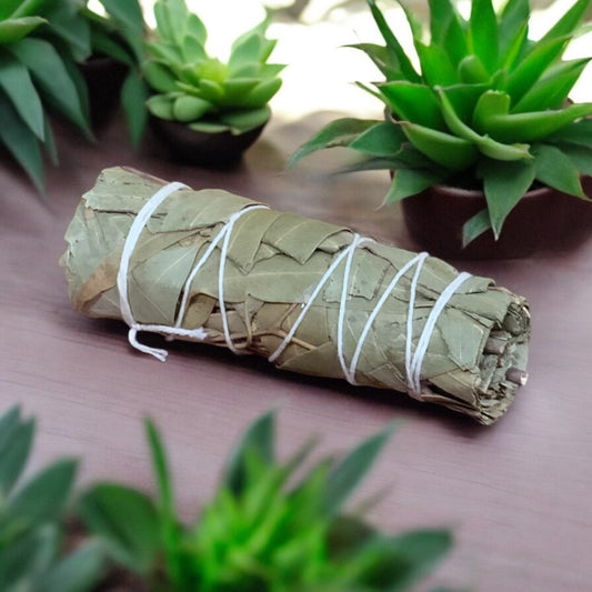 Eucalyptus Smudge Stick